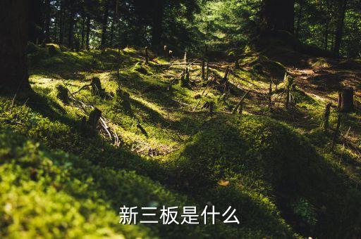 430002是什么股票，中科軟股票是多少在哪個(gè)證券所