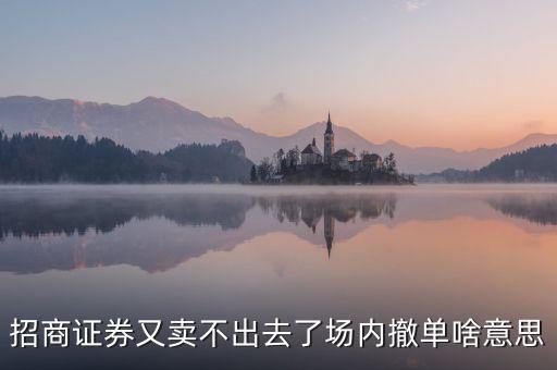 什么是場內，電影劇本中的一場戲指的是什么意思謝謝