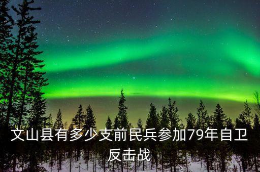 1979年蛇口奠基典禮有什么人參加，文山縣有多少支前民兵參加79年自衛(wèi)反擊戰(zhàn)