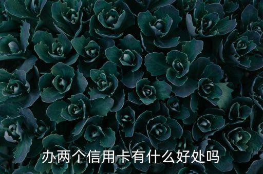 雙標信用卡有什么好處，去歐洲辦雙標信用卡還是單標信用卡