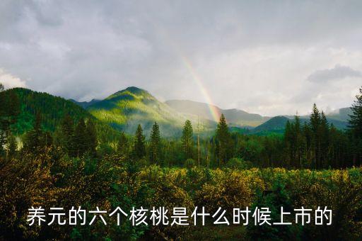 六個核桃智匯成長什么時候出來的，1個 六個核桃智匯成長核桃乳 的空易拉罐質(zhì)量是多少