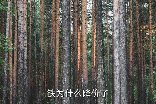 鐵為什么降價了