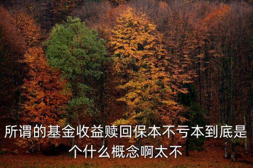 所謂的基金收益贖回保本不虧本到底是個(gè)什么概念啊太不