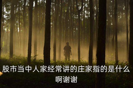 炒股莊家是什么，股票的莊家是指