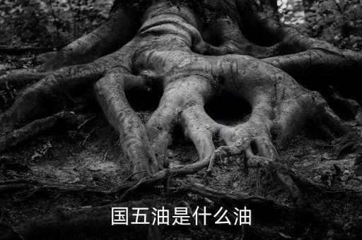 國五油是什么油