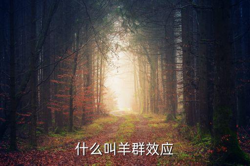 什么叫做羊群效應(yīng)，什么是羊群效應(yīng)
