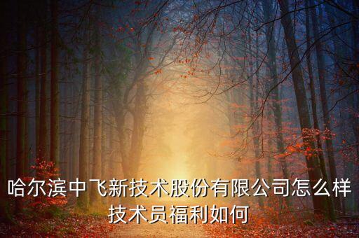 中飛股份公司做什么的，哈爾濱中飛新技術(shù)股份有限公司怎么樣技術(shù)員福利如何