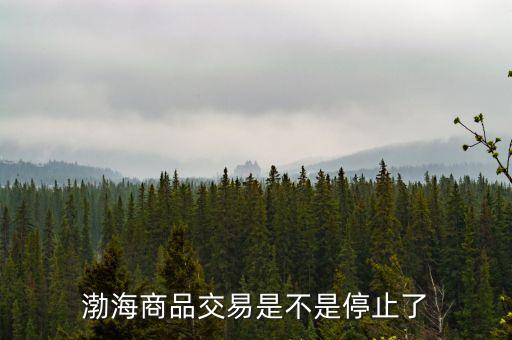 渤海商品交易是不是停止了