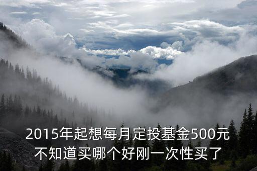 2015年基金定投買什么比較好，2015年起想每月定投基金500元不知道買哪個(gè)好剛一次性買了