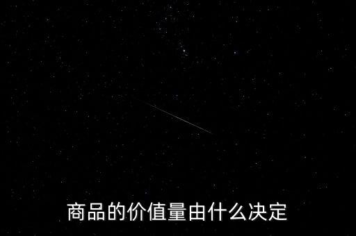 商品的價值量由什么決定