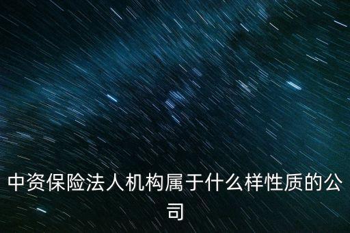 中資保險法人機構屬于什么樣性質的公司
