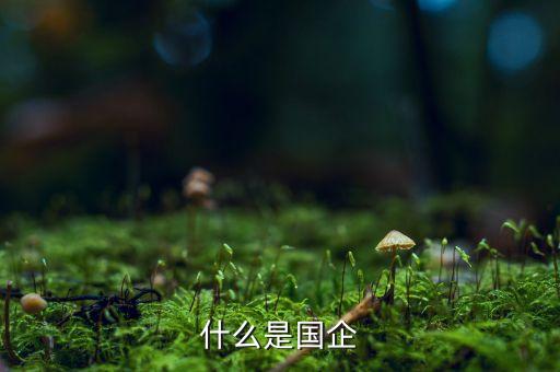 什么是國(guó)企