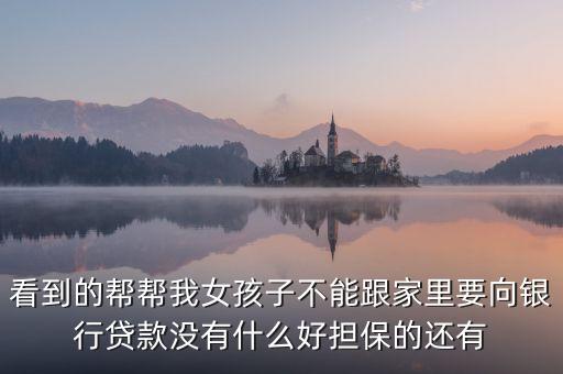 看到的幫幫我女孩子不能跟家里要向銀行貸款沒有什么好擔(dān)保的還有