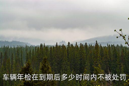 車輛年檢在到期后多少時間內(nèi)不被處罰