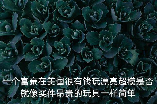 世界富豪一般玩什么，富翁有什么新玩具