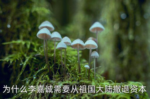 為什么李嘉誠需要從祖國大陸撤退資本