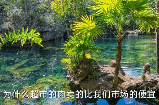 超市的豬肉為什么便宜，為什么超市的肉賣的比我們市場(chǎng)的便宜