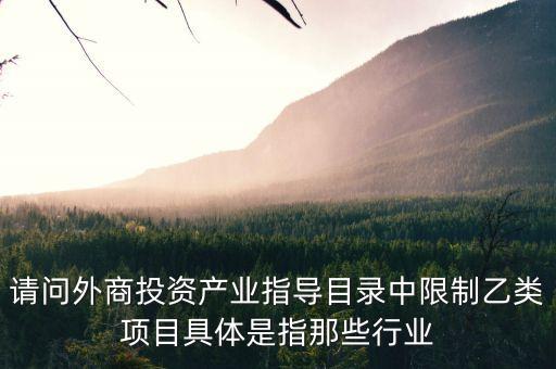 請(qǐng)問(wèn)外商投資產(chǎn)業(yè)指導(dǎo)目錄中限制乙類項(xiàng)目具體是指那些行業(yè)