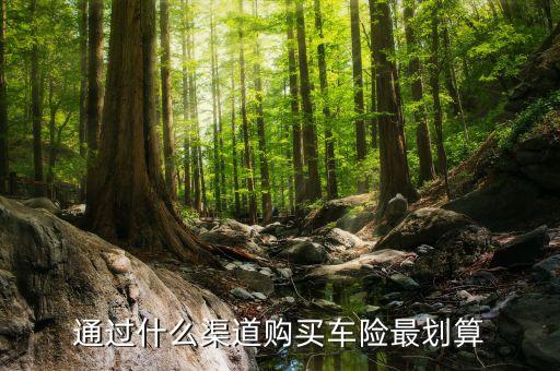 什么渠道買(mǎi)車(chē)險(xiǎn)便宜，通過(guò)什么渠道購(gòu)買(mǎi)車(chē)險(xiǎn)最劃算