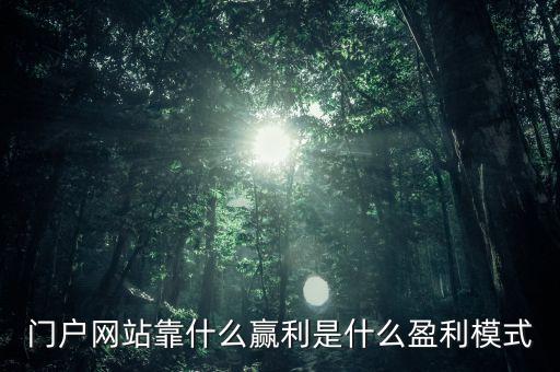 4大大型門戶網(wǎng)站靠什么盈利，新浪網(wǎng)易騰訊搜狐這四大門戶網(wǎng)站的盈利模式有何不同