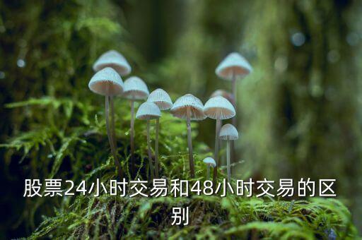 24小時交易是什么意思，股票24小時交易和48小時交易的區(qū)別