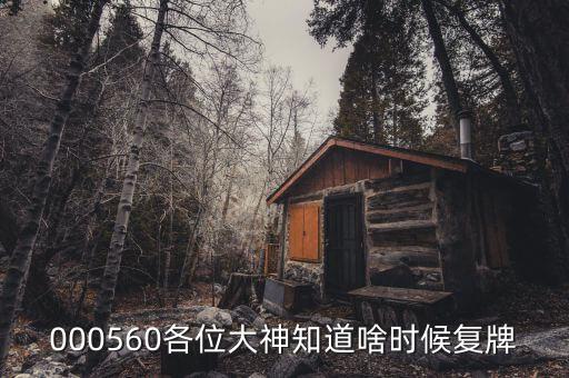 000560各位大神知道啥時(shí)候復(fù)牌
