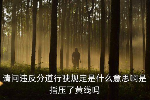 請問違反分道行駛規(guī)定是什么意思啊是指壓了黃線嗎