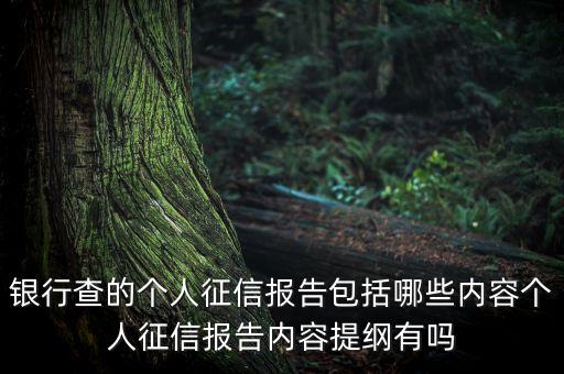 銀行查的個(gè)人征信報(bào)告包括哪些內(nèi)容個(gè)人征信報(bào)告內(nèi)容提綱有嗎