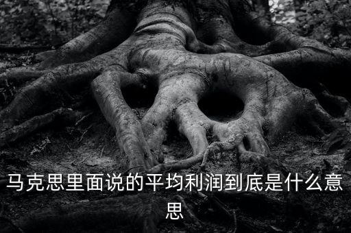 馬克思里面說的平均利潤到底是什么意思