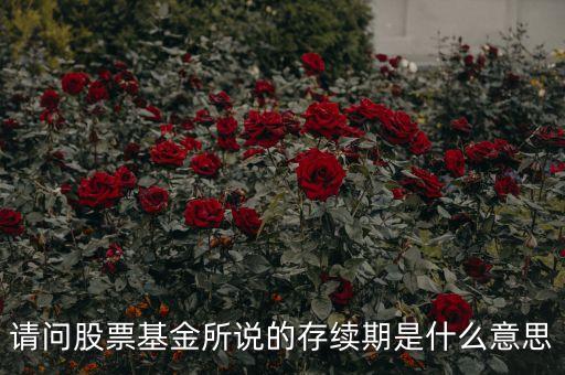 員工持股存續(xù)期是什么，蘇寧給員工持股 一年封閉期是什么