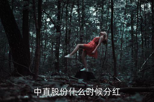 中直股份公司是做什么的，中直股份什么時(shí)候分紅
