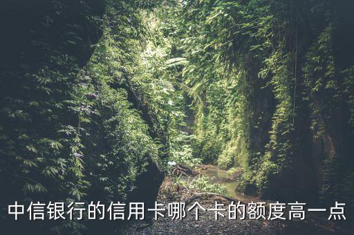 中信銀行的信用卡哪個(gè)卡的額度高一點(diǎn)