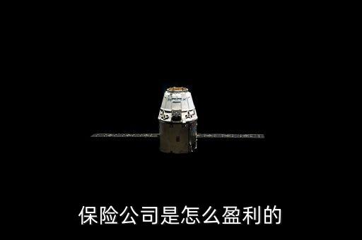 保險公司靠什么盈利，保險公司靠什么贏利