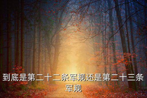 到底是第二十二條軍規(guī)還是第二十三條軍規(guī)