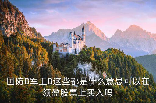 國(guó)防b的母基金是什么，國(guó)防B軍工B這些都是什么意思可以在領(lǐng)盈股票上買入嗎
