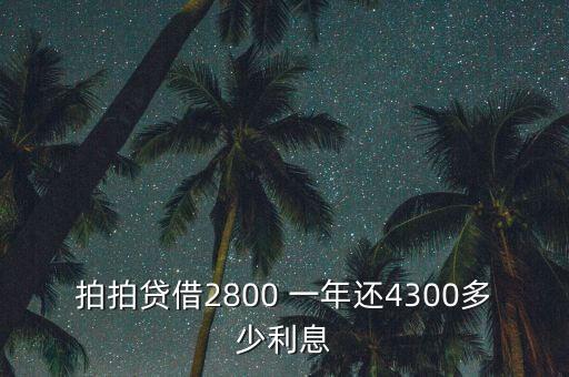 什么是拍拍貸，拍拍貸借2800 一年還4300多少利息