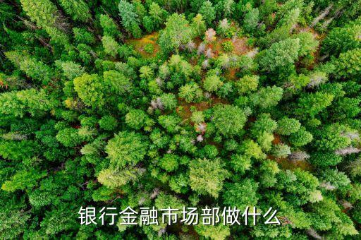 民生銀行金融市場部做什么，銀行金融市場部做什么