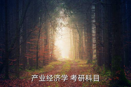 產(chǎn)業(yè)經(jīng)濟(jì)學(xué)一般都考什么，產(chǎn)業(yè)經(jīng)濟(jì)學(xué) 考研科目