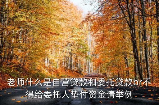 平臺自營貸款是什么意思，什么叫信托公司自營貸款與信托貸款有什么區(qū)別還有其他貸款包括