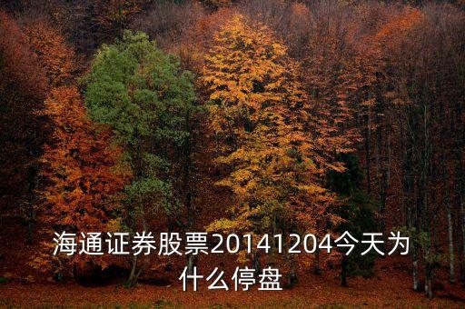 海通證券股票20141204今天為什么停盤(pán)