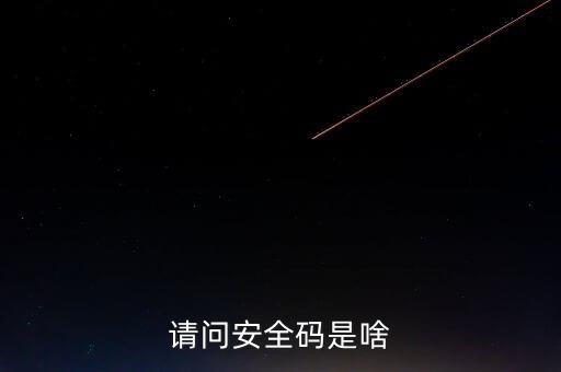 請(qǐng)問安全碼是啥
