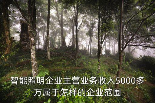 溫州宏豐主營(yíng)什么，請(qǐng)問(wèn)凈利率的公式計(jì)算是凈利潤(rùn)主營(yíng)業(yè)務(wù) 還是主營(yíng)業(yè)務(wù)還加其他也