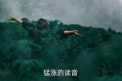 猛漲的漲讀什么，猛漲的讀音
