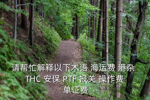 安保費(fèi)是什么意思，平安信用卡 保費(fèi)分期 是什么意思