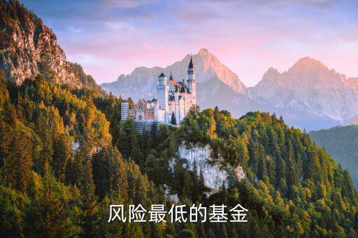 什么基金風(fēng)險(xiǎn)最低，風(fēng)險(xiǎn)最低的基金