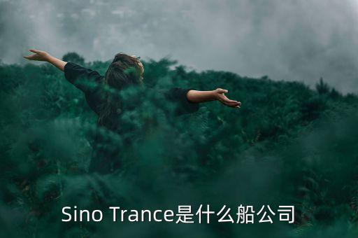 sino是什么船公司，英語(yǔ)船公司傳出正式的SO是什么