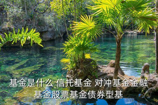 基金是什么 信托基金 對沖基金金融基金股票基金債券型基