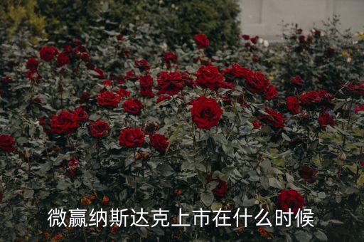 微贏納斯達(dá)克上市在什么時(shí)候