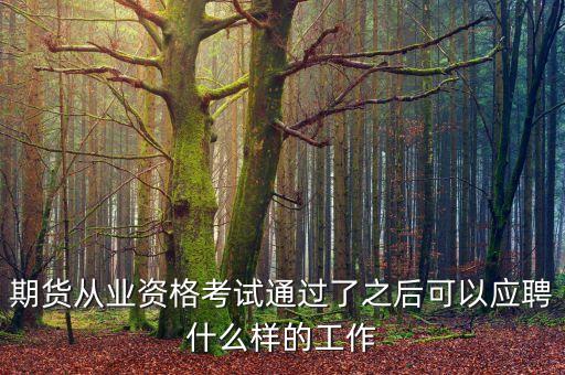 期貨成功了做什么，有做期貨很成功的例子么
