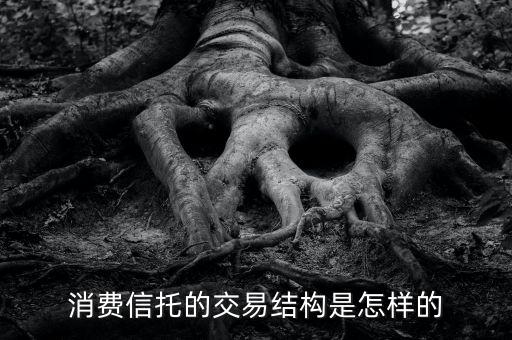 什么是消費(fèi)信托，通俗的講講什么是信托